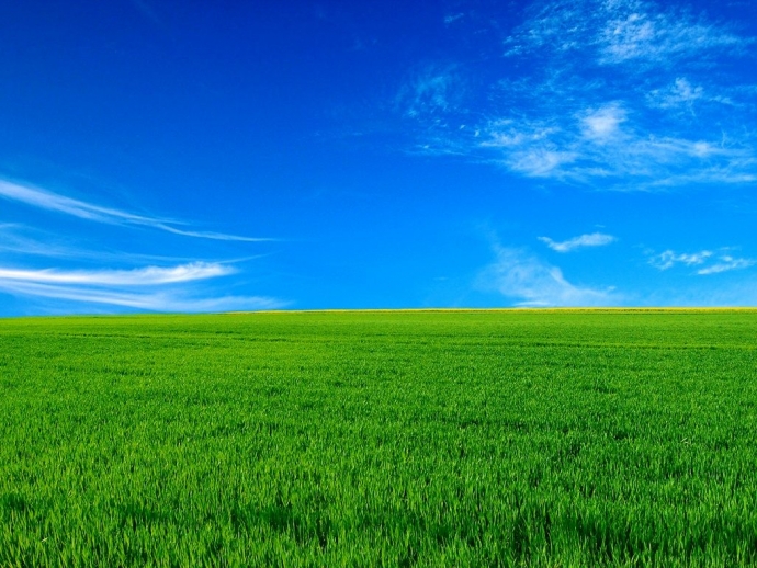 Sustainable Business is Good Business